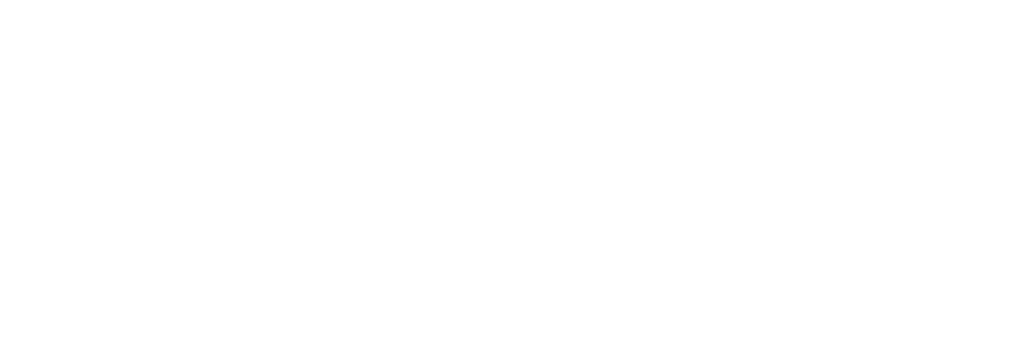 Fifth Digital Solution